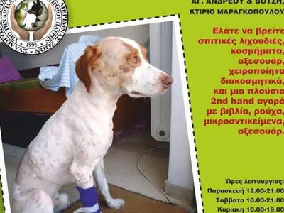 Πάτρα: Γνωστές κυρίες της πόλης δημιουργ...