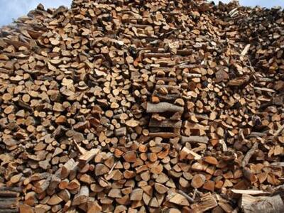 Κατακόρυφη αύξηση στη ζήτηση καυσόξυλων ...