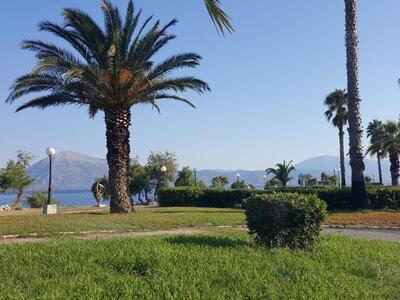 Πάτρα: Δείτε πως μεταμορφώθηκε το παρκάκ...