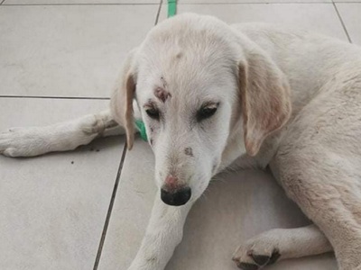 ΦΩΤΟ ΑΡΧΕΙΟΥ