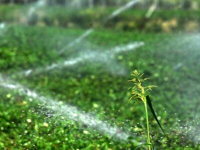 Ναύπακτος: Έκκληση για μείωση στην καταν...