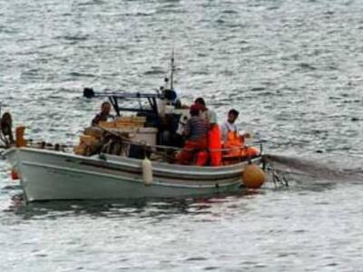 Πολλά αλλά μικρής συνολική χωρητικότητας...