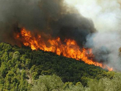 Συνελήφθη ο Δήμαρχος Ιθάκης για φωτιά σε...