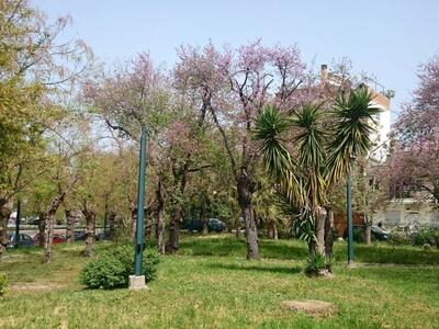 Γιατί η Πάτρα, είναι μια ...πράσινη πόλη...