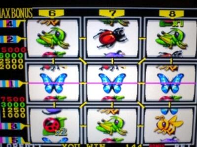 Παντάνασσα Αιτωλοακαρνανίας: Το καφενείο...