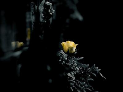 Πάτρα: Δεν άντεξε ο ηλικιωμένος τα χτυπή...