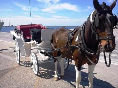 Πάτρα: Ο Γιάννος και η άμαξα στο λιμάνι 