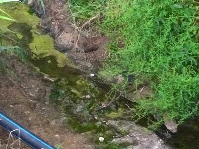 Πάτρα: "Μαύρο βγαίνει το νερό από τ...