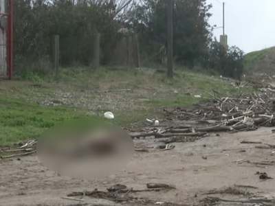 Ηλεία- Εστία μόλυνσης στον Αλφειό: Το νε...