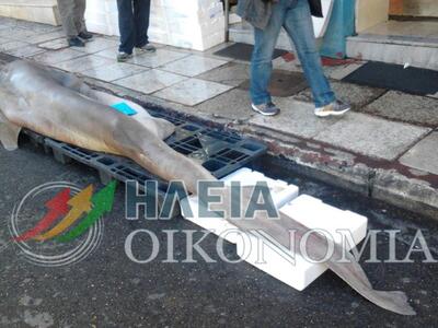 Πύργος: Νέο, ωραίο και νόστιμο….. πάλι έ...