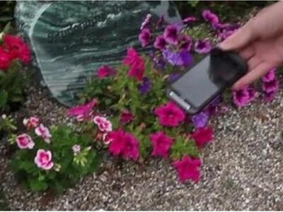 Εστειλαν ένα sms στην νεκρή γιαγιά τους ...