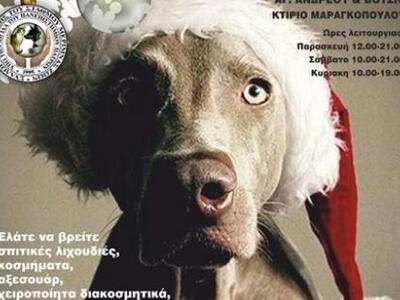 Γιορτινό bazaar από τον Σύλλογο Μέριμνας...