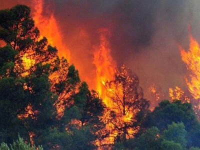 Πυρκαγιά σε δασική έκταση στις Σπέτσες- ...