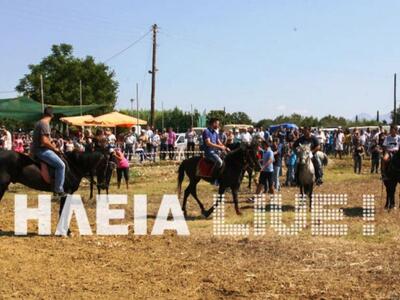 Ηλεία: Μεγαλώνει η γιορτή του αλόγου Πηνείας