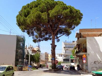 Eκδήλωση σήμερα το απόγευμα στην Αρόη της Πάτρας