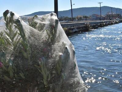 Το γεγονός που οδήγησε στο... πρωτοφανές...