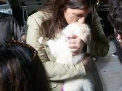 Πάτρα: Η Ζωή και το σκυλάκι