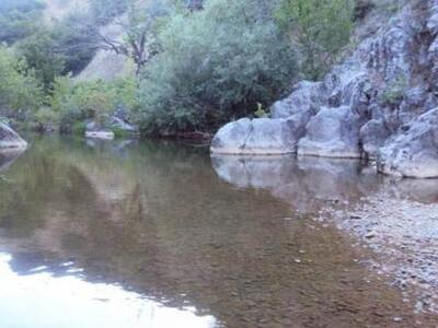 Αχαΐα: Eρώτηση του περιφερειακού συμβούλ...