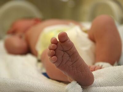 Κρήτη: Εγκρίθηκε θεραπεία σχεδόν 2 εκατ....