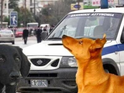 Πάτρα: Συνελήφθησαν τρείς μαζί με τους ....