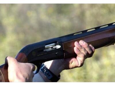 59χρονος συνελήφθη γιατί σκότωσε σκύλο μ...