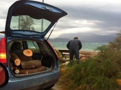 Πάτρα: Έσπασαν τα δένδρα κι έπιασαν τα.....