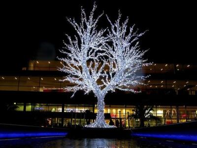 Χριστουγεννιάτικο δέντρο στη Γερμανλια (...