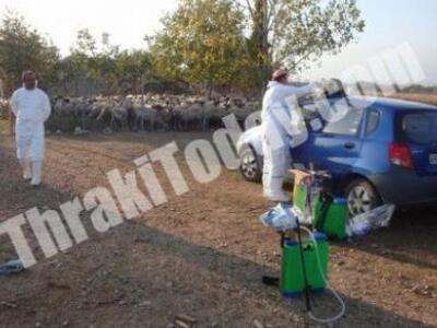 Σε καραντίνα η Ξάνθη λόγω ευλογιάς