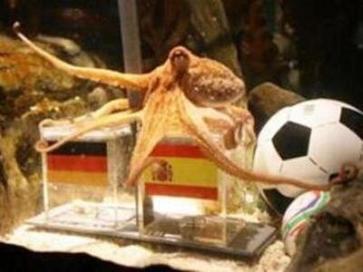 Κάνουν άγαλμα τον Πολ το χταπόδι!!!!