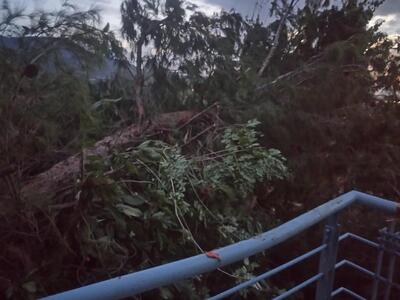 Πάτρα: Άνεμοι που «τρέχουν» με 111 χιλιό...