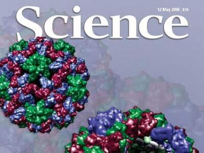 Έλληνες πανεπιστημιακοί μιλούν στο «Scie...