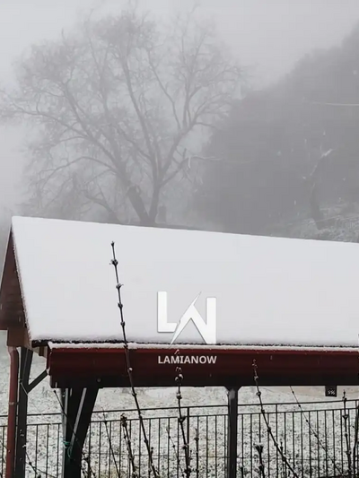 Κουμαρίτσι / Φωτό lamianow.gr