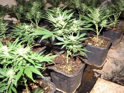 Συνεχίζονται οι συλλήψεις για ναρκωτικά ...