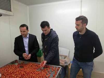 Μια πρότυπη μονάδα υδροπονίας στο Μεσολόγγι