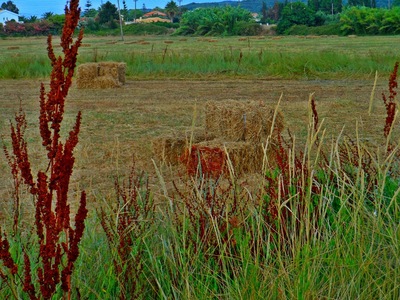 Παρατείνεται η προθεσμία υποβολής ενστάσ...