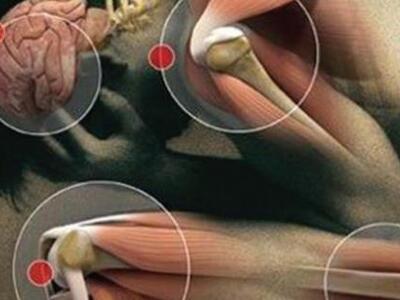 Εντοπίστηκε o γενετικός «διακόπτης» που ...