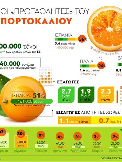 Οι "πρωταθλητές" του πορτοκαλι...