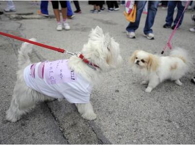 Εντολή Κουτζαμάνη για αυστηρή τήρηση της...