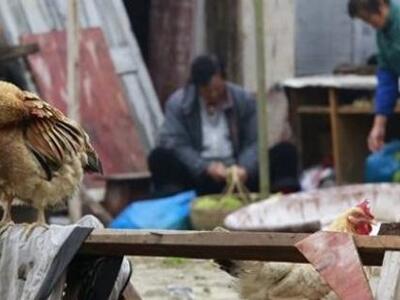 ΠΟΥ: Στην Κίνα το πρώτο άνθρωπινο κρούσμ...