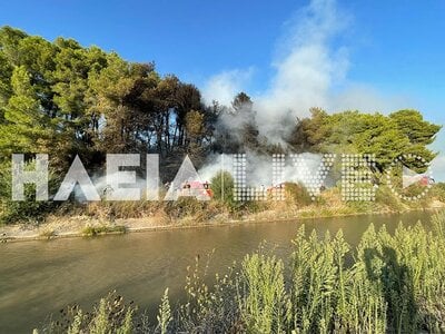 Ηλεία: Μεγάλη πυρκαγιά στην περιοχή της Βαρβάσαινας - ΦΩΤΟ