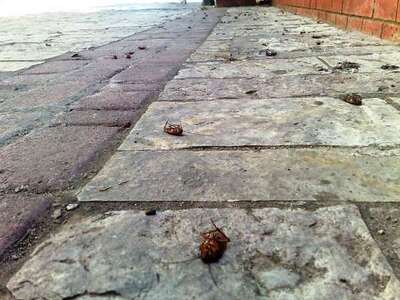 Άνοιξε καυγά με τους δημοσιογράφους ο Δή...