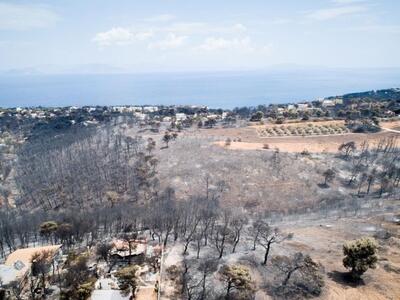 Επιστολή Ε.Σ.Α.μεΑ. στον Πρωθυπουργό