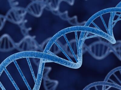 Πάτρα:Ο Γιάννης Ματσούκας για την Παγκόσ...