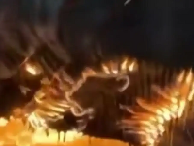 Ελβετία: Νέο συγκλονιστικό βίντεο από τη...