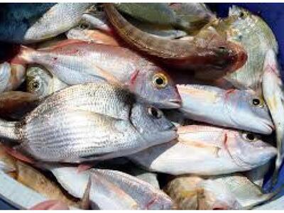 Η Α' ΕΛΜΕ Αχαϊας καλεί τους καθηγητές στ...