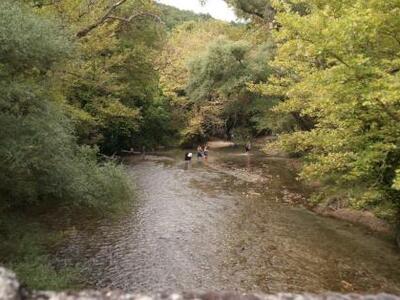Πάτρα: Πτώμα άγνωστου άνδρα εντοπίστηκε ...