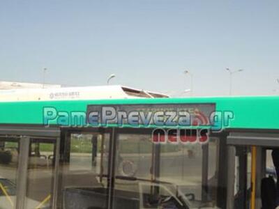 Πρέβεζα: Κλαδί από ευκάλυπτο έπεσε πάνω ...