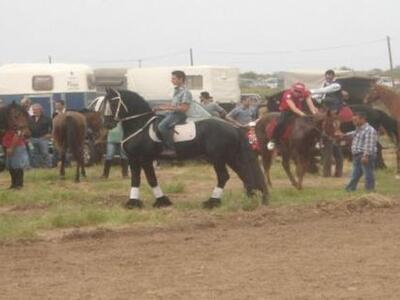 Πύργος: Οι καβαλάρηδες τίμησαν τον Αγιο ...