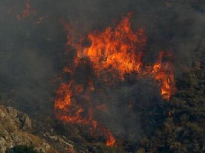 Σε εξέλιξη πυρκαγιά στον Ωρωπό Αττικής
