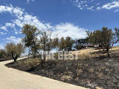 Οι πυρκαγιές των τελευταίων ημερών σε νούμερα 